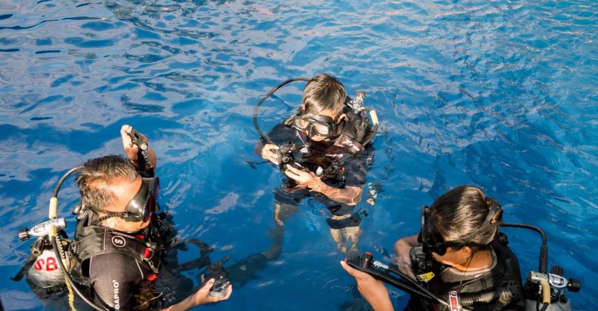 Intro Diving at Swimming Pool - Experience Highlights