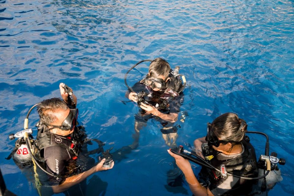 Intro Diving at Swimming Pool - Course Structure