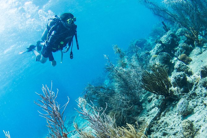 Introduction Shore Dive With Scubaçao (1 Dive) - Meeting and Pickup Locations