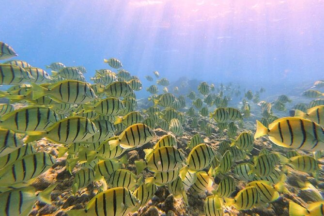Introductory Beach Scuba Dive - Health and Safety Requirements