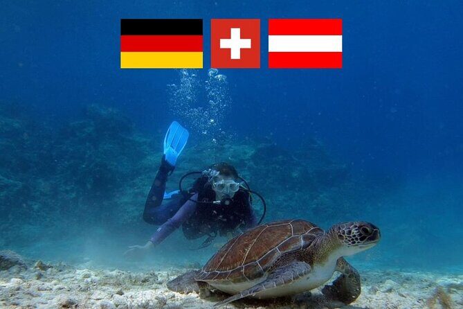 Introductory diving in small groups - A Closer Look at the Experience