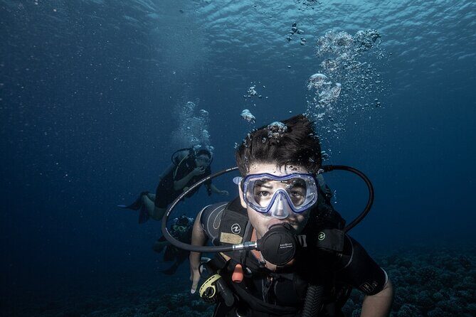 Introductory Scuba Diving Experience in Bora Bora - An In-Depth Look at the Experience