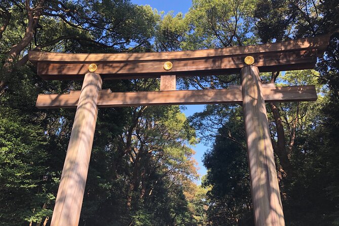 Introductory Tokyo Tour for the First Timers: Learn Basic Travel Tips and Tricks - Savoring the Culinary Delights of Tokyo
