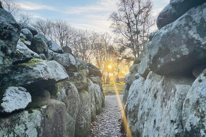 INVERGORDON Highland Shore Excursion for up to 14 pax (Private) - Final Thoughts