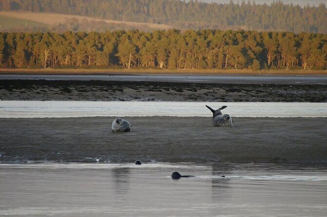Invergordon Shore Excursion Dunrobin Castle Dornoch Loch Fleet - The Value of This Experience