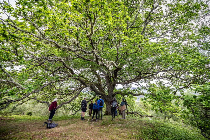 Inverness: Lochs, Waterfalls and Rewilding Experience - Key Points