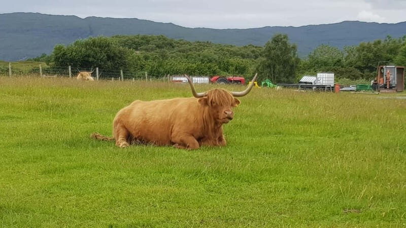 Inverness: Outlander Tour, Culloden, Clava Cairns & more - The Experience Provider’s Touch