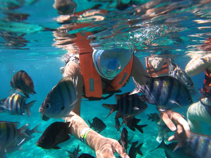 Invisible Boat Snorkeling Adventure - Suitability Considerations