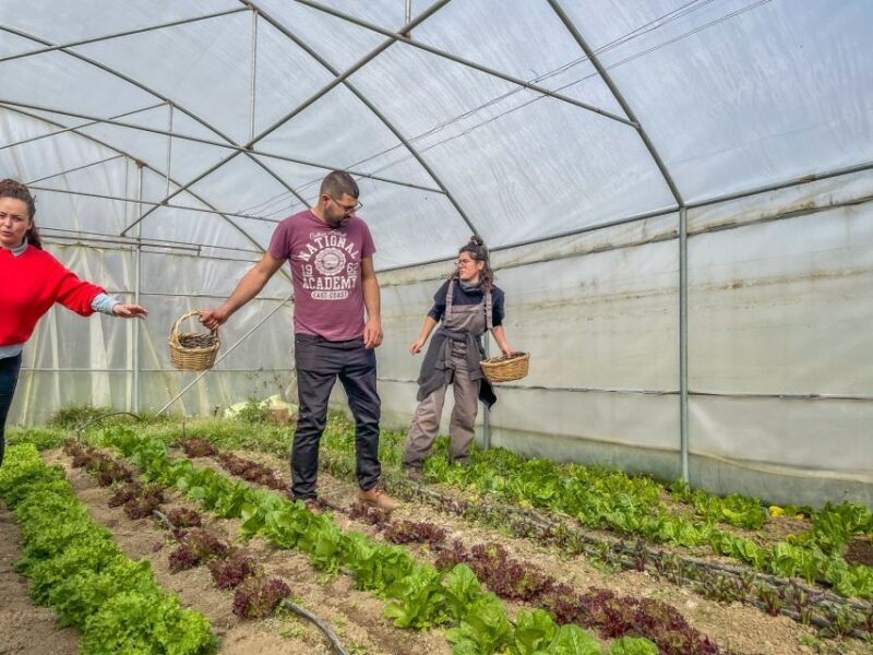 Ioannina: East Zagori Farming Experience & Cooking Class - FAQ