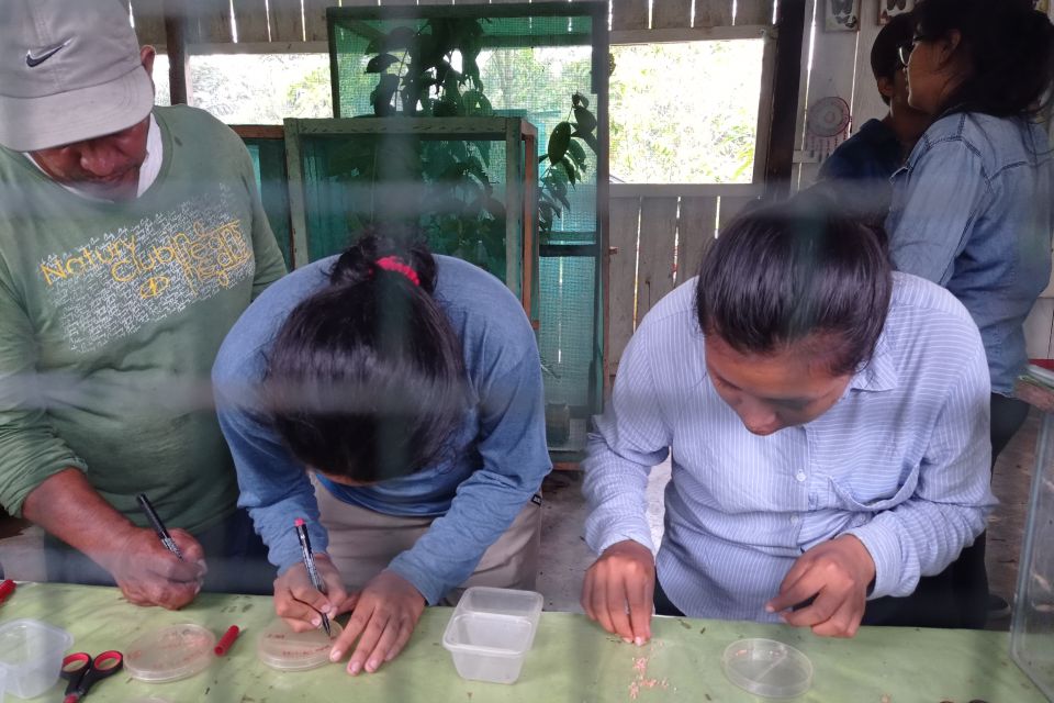 Iquitos: 2-Day San Rafael Sustainable Rainforest Tour - Day 1 Activities