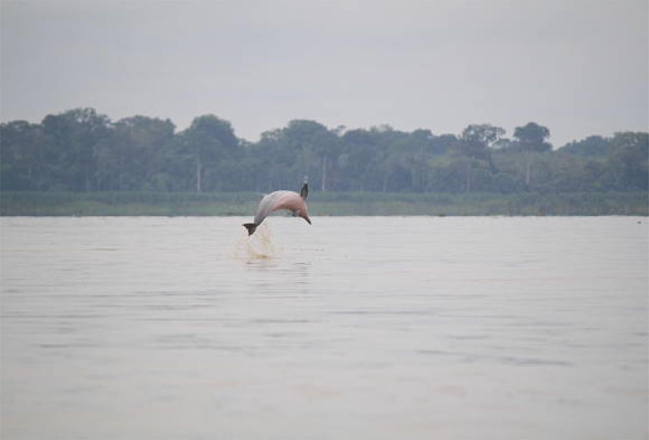 Iquitos: 3 Days and 2 Nights | Crossing the Amazon - Key Points