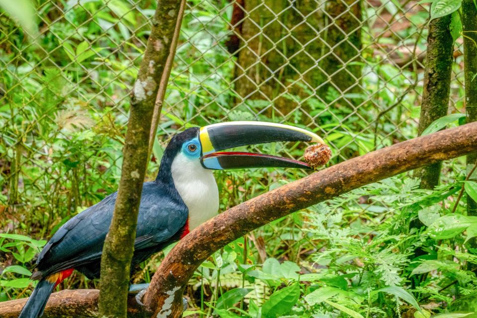 Iquitos: 6-Hour Amazon River Tour With Belén & Butterfly Farm - Picnic Lunch and Bottled Water