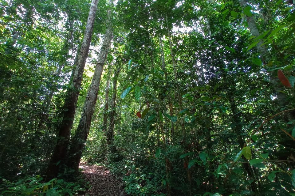 Iquitos: Allpahuayo-Mishana National Reserve Wildlife Tour - Important Guidelines