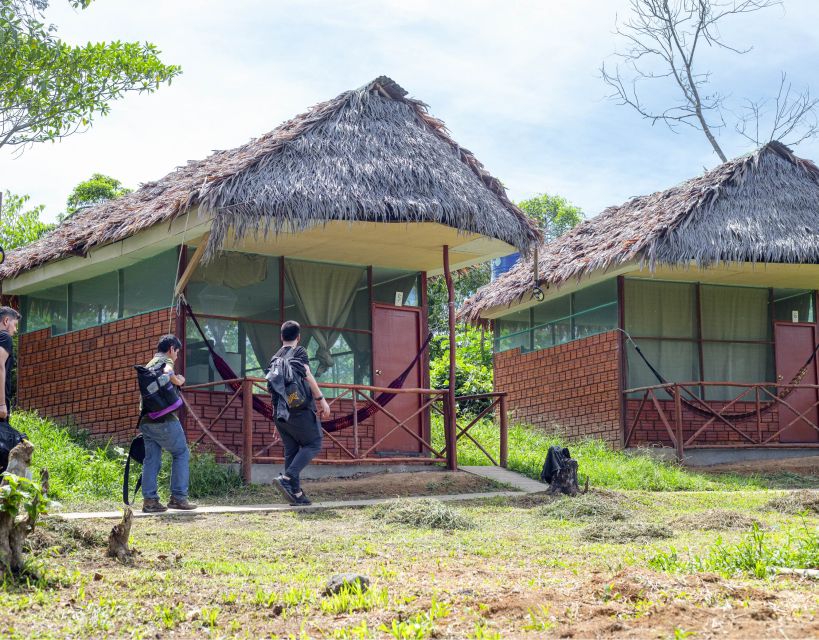 Iquitos: Amazon Expedition | 3 Days (Canopy Tours Iquitos) - Dolphin Observation Delight