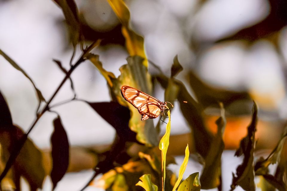 Iquitos: Amazon River Full Day Guided Tour - Taste of Local Fruits