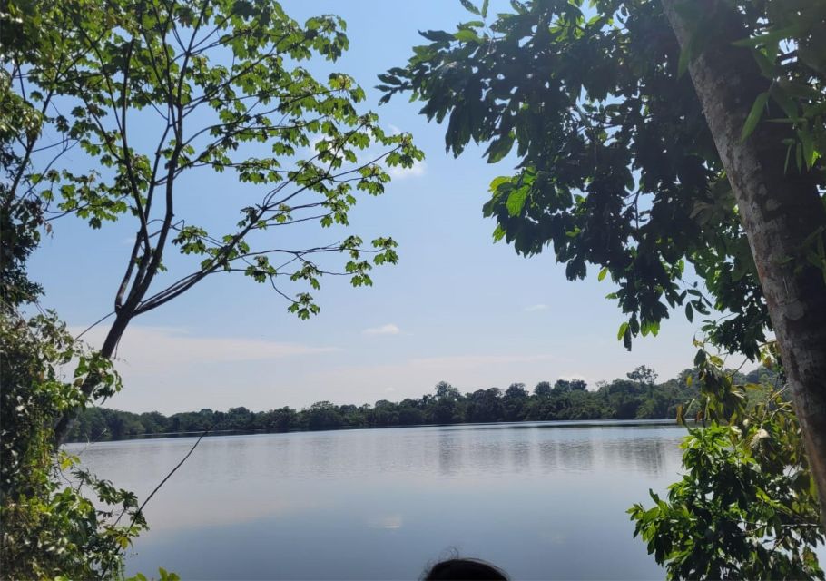 Iquitos: Ayahuasca and Its Curative Power - Ayahuasca Ceremonies: Spiritual Transformation
