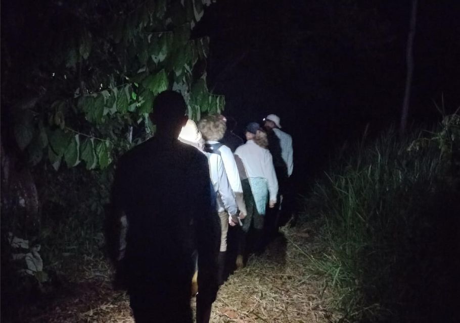 Iquitos: Ayahuasca and Its Curative Power - Accommodation and Dietary Considerations