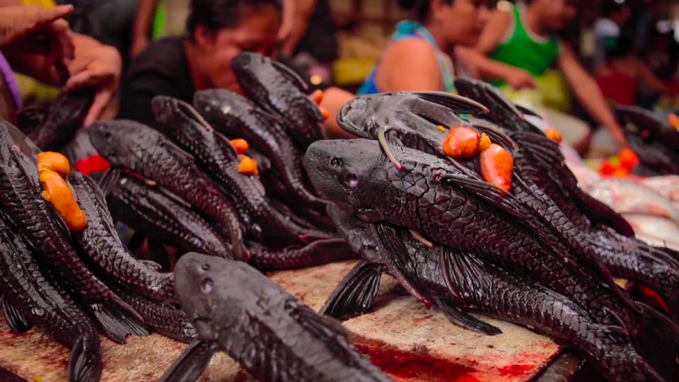 Iquitos: Belen Market and Venice Loretana Guided Tour - Key Points
