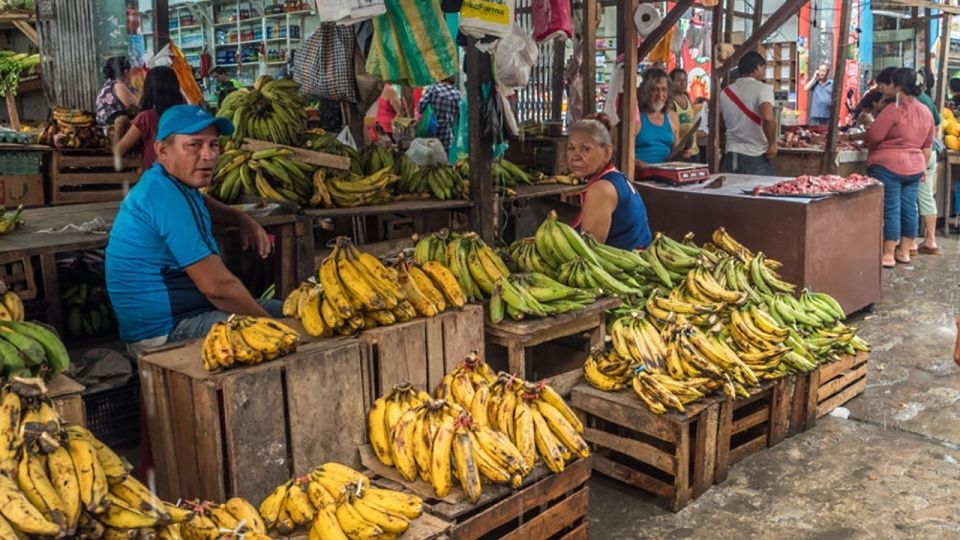Iquitos: Belen Market and Venice Loretana Guided Tour - Inclusions and Transportation Details