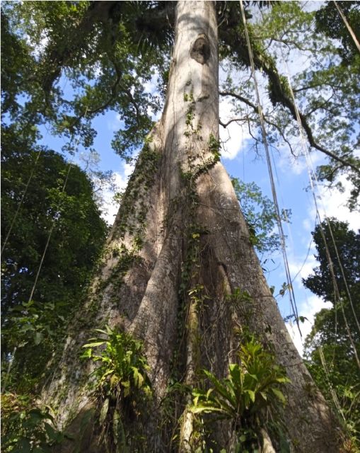 Iquitos: Full Day | Pacaya Samiria Reserve - Frequently Asked Questions