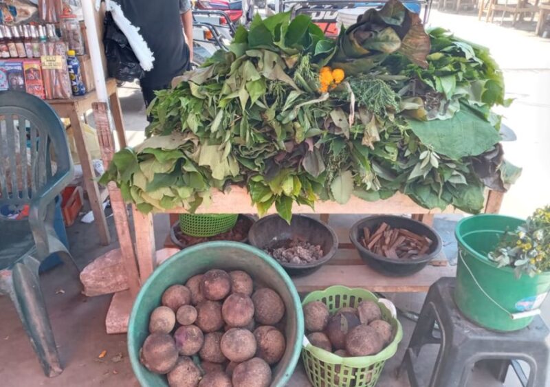 Iquitos: Guided Tour | Venezia Loretana (Bethlehem) - Key Points
