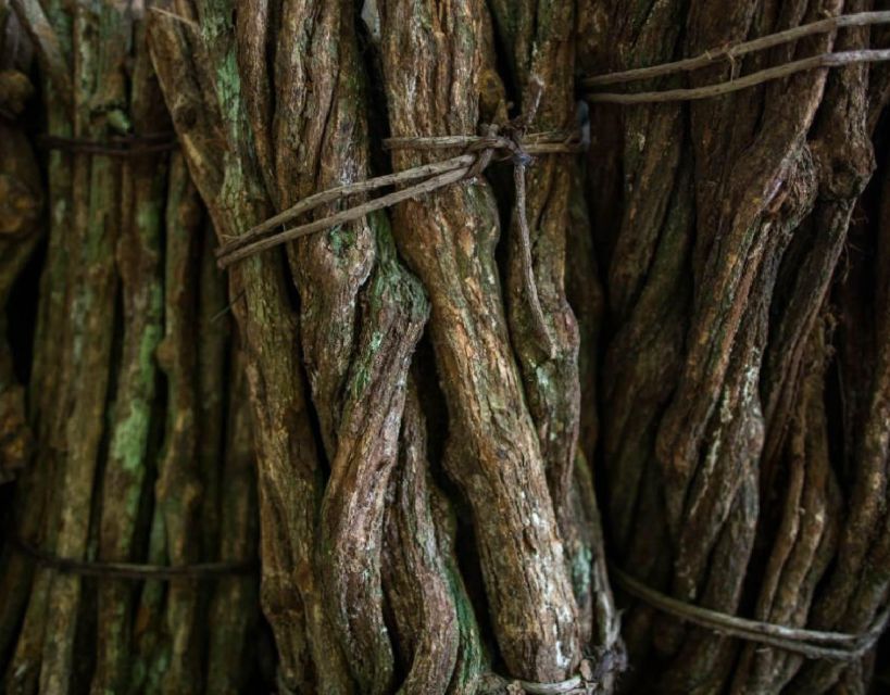 Iquitos: Healing Treatment With Ayahuasca | 1 Ceremony - Iquitos Center and Medicinal Plant Walk