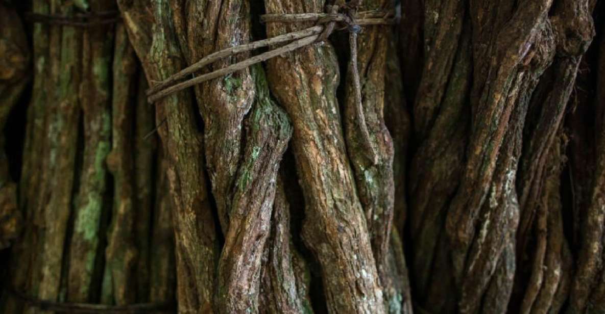 Iquitos: Healing Treatment With Ayahuasca | 1 Ceremony - Preparing for the Ayahuasca Ceremony