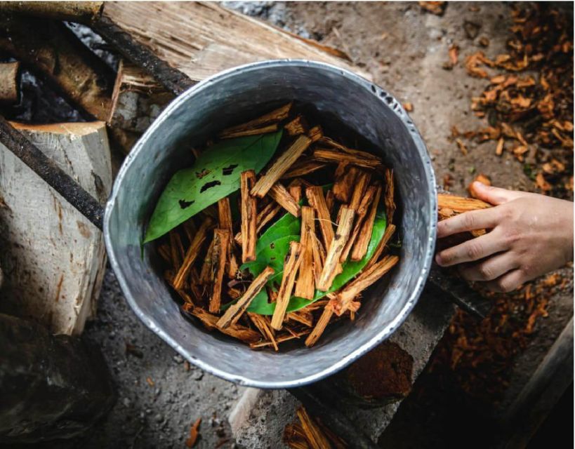 Iquitos: Healing Treatment With Ayahuasca | 1 Ceremony - Spiritual Healing and Aftercare