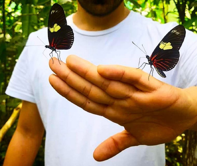 Iquitos: Pilpintuwasi Butterfly Farm Tour - Experience at Pilpintuwasi