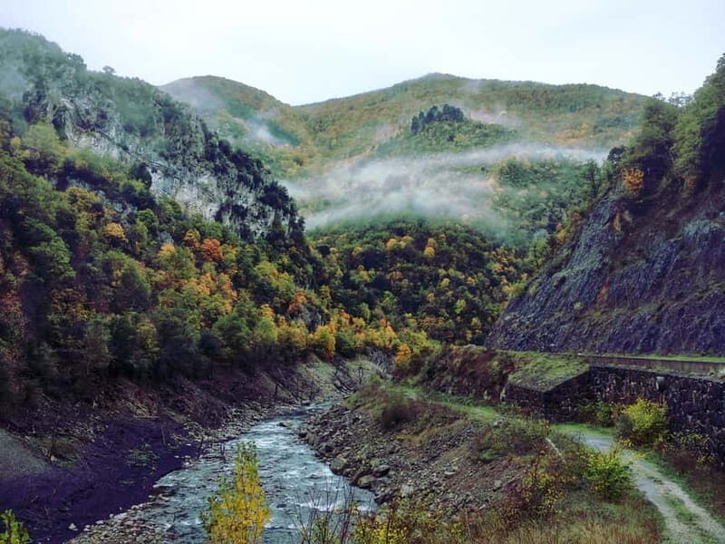 Irati Forest and Ochagavía Excursion - A Deep Dive into the Experience