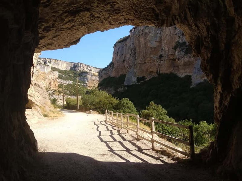 Irati Forest and Ochagavía Excursion - The Sum Up: Is This Tour Worth It?