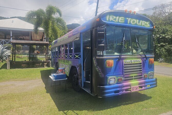 Irie Vibe Open Air Scenic Adventure - The Itinerary: A Step-by-Step Breakdown