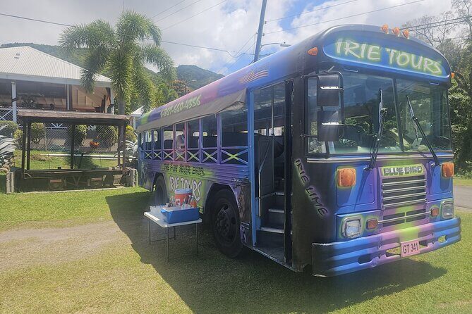 Irie Vibe Open Air Scenic Adventure - Practical Details: What You Need to Know