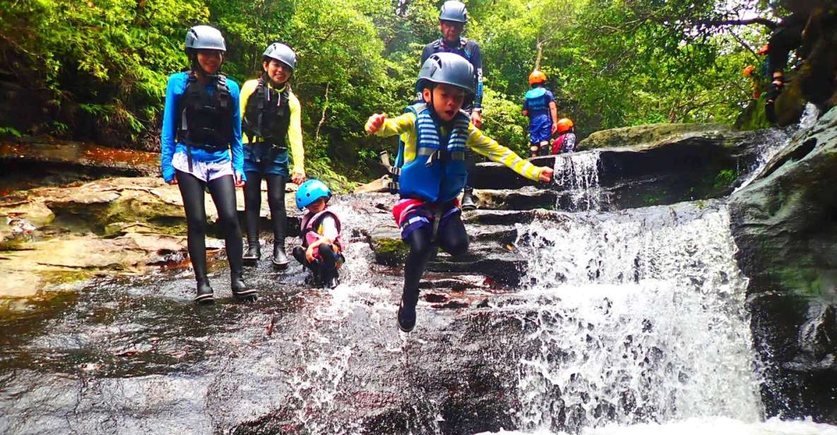 Iriomote Island: Kayaking and Canyoning Tour - Key Points