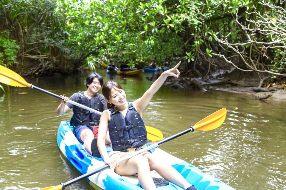 Iriomote Island: Kayaking and Canyoning Tour - Excluded Costs and Items