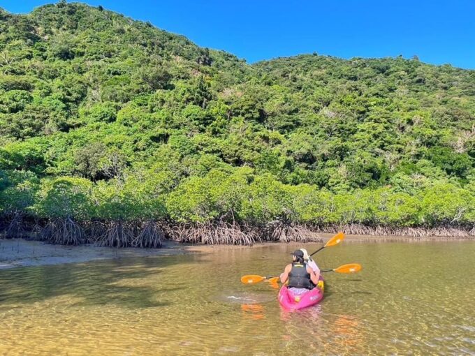 Iriomote Island: Kayaking and Snorkeling Tour - Booking Information