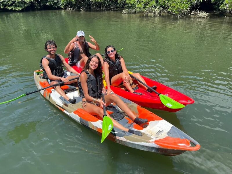 Iriomote Island: Mangrove River Canoe Cruising Tour - Highlights of the Adventure