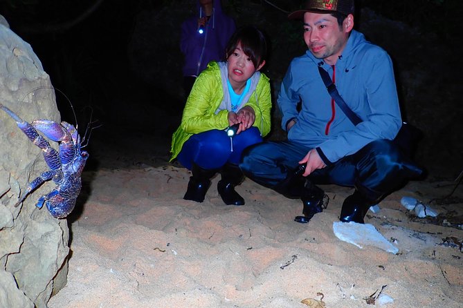 Iriomote Island, Okinawa Night Adventure Tour - Tour Start Time