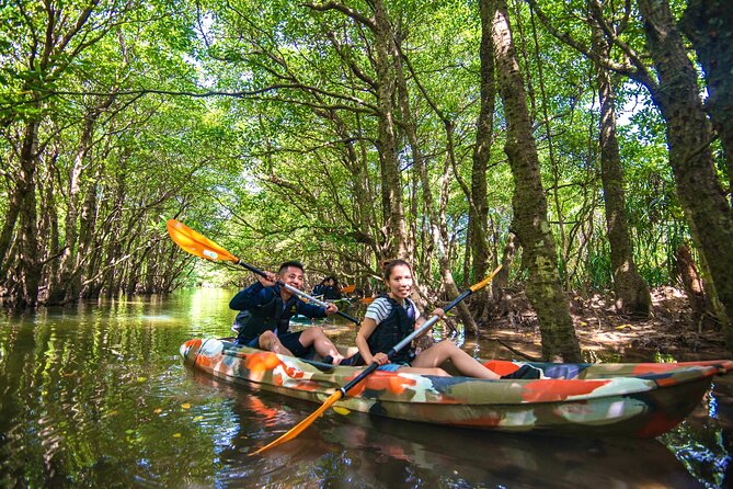 [Iriomote]Sup/Canoe Tour + Sightseeing in Yubujima Island - Activity Description