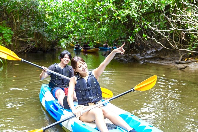 [Iriomote]Sup/Canoe Tour + Sightseeing in Yubujima Island - Logistics