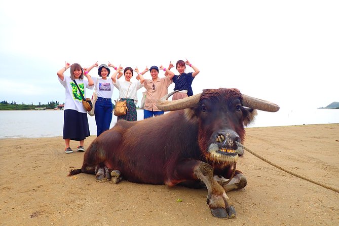[Iriomote]Sup/Canoe Tour + Sightseeing in Yubujima Island - Yubujima Island Attractions