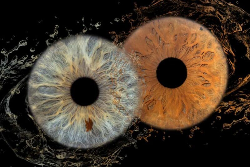 IRIS Photography (macro photo of your eye) - Why Choose Iris Macro Photography in Split?