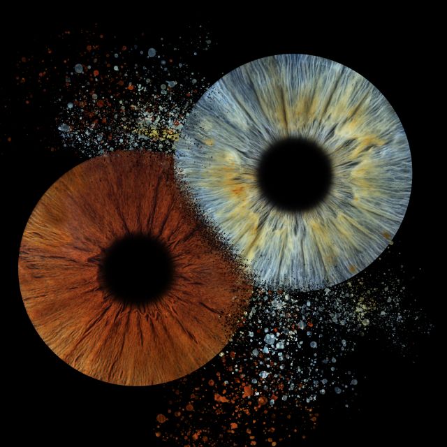 Iris Shooting- Original Activity for Families and Couple - Pricing and Duration