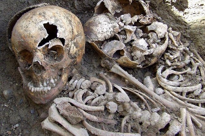 Irish Famine Museum / Exhibition Dublin - What Youll See and Learn