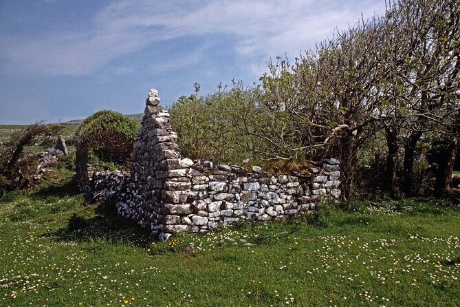 Irish Famine Museum / Exhibition Dublin - Practical Tips for Visitors
