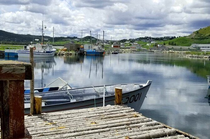 Irish Loop to Ferryland Tour - A Closer Look at the Itinerary