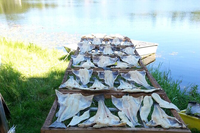 Irish Loop to Ferryland Tour - What Reviewers Say