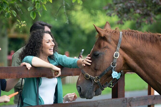Irish National Stud & Gardens Skip the line Entrance - An Authentic Look at the Irish National Stud & Gardens