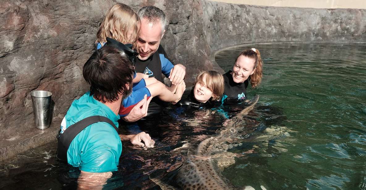 Irukandji Entry Pass & Zebra Shark Encounter - Frequently Asked Questions