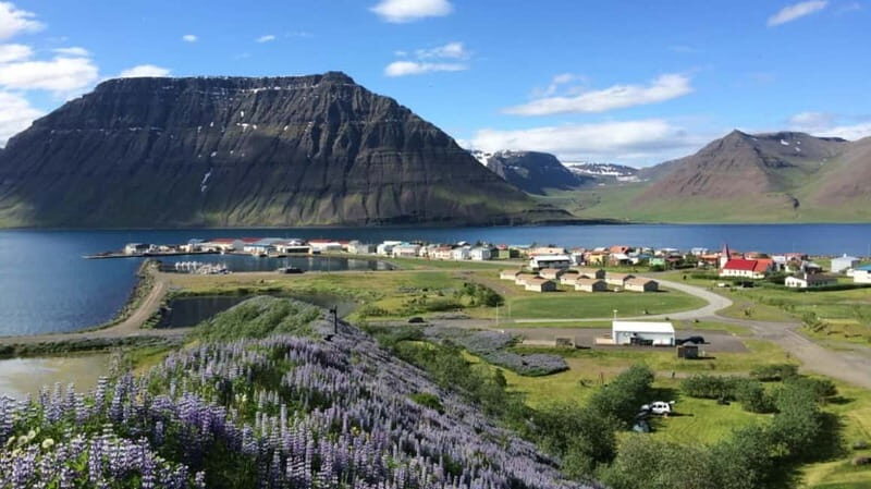 Ísafjörður: Flateyri Village tour: Local Culture & History - Key Points